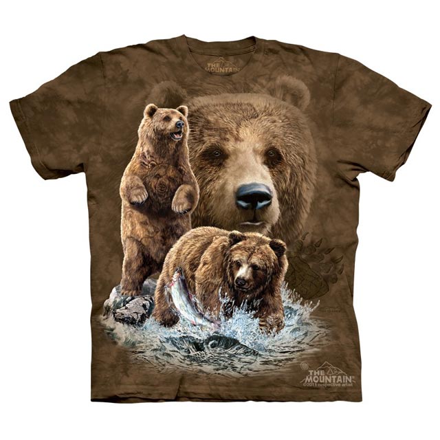 The Mountain - Find 10 Brown Bears