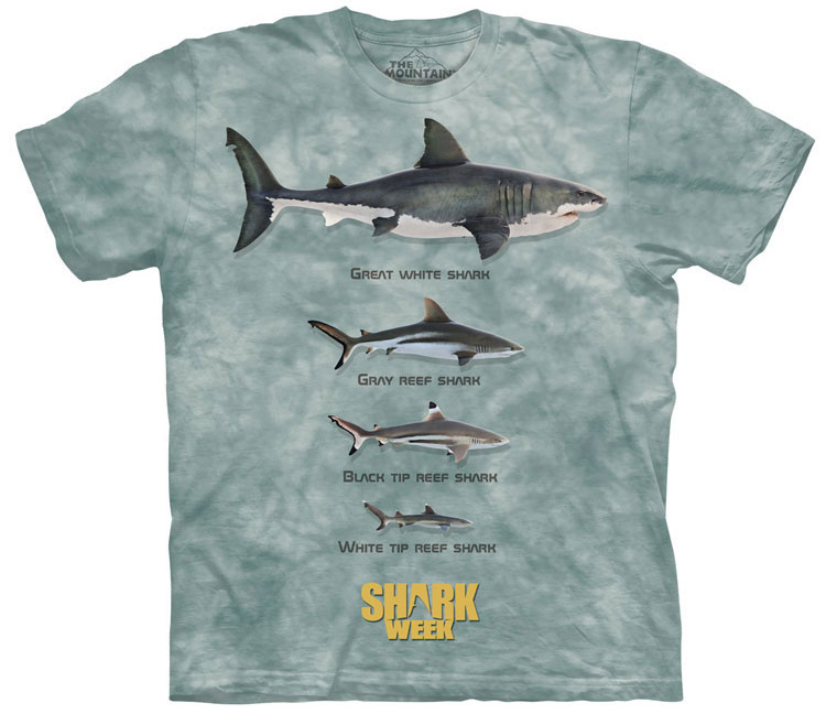 The Mountain - Shark Line Up T-Shirt