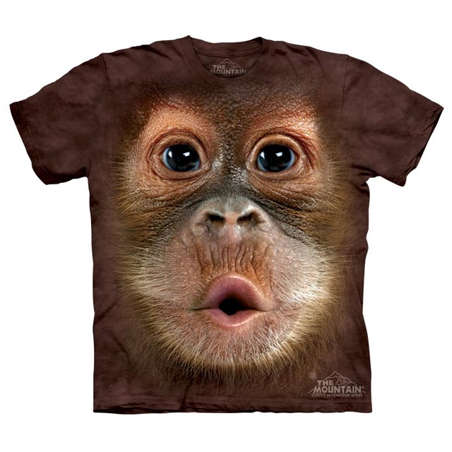 The Mountain - Big Face Baby Orangutan