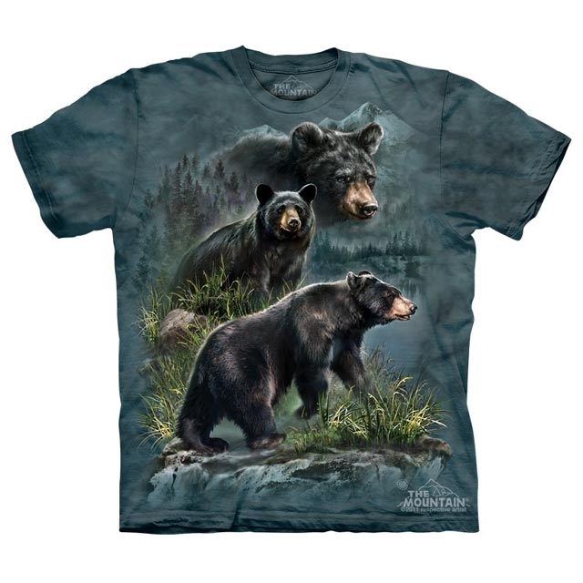 The Mountain - Three Black Bears