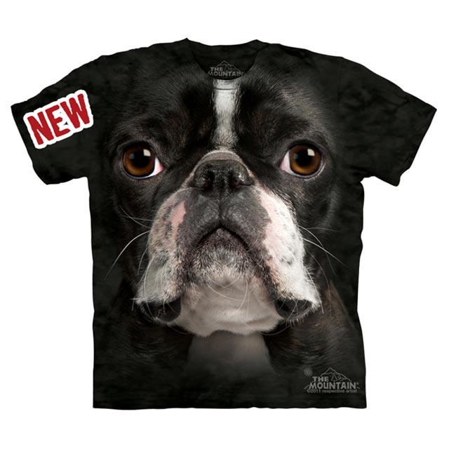 The Mountain - Boston Terrier Face - Youth