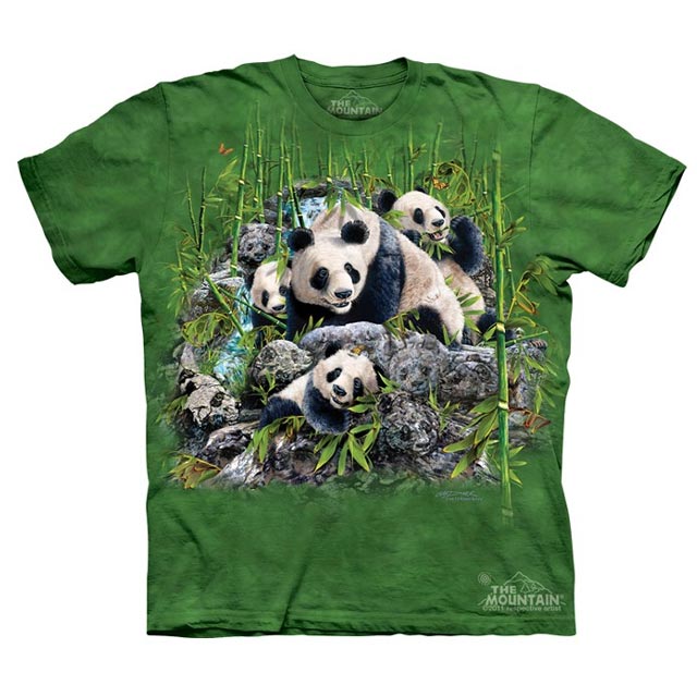 The Mountain - Find 13 Pandas - Youth