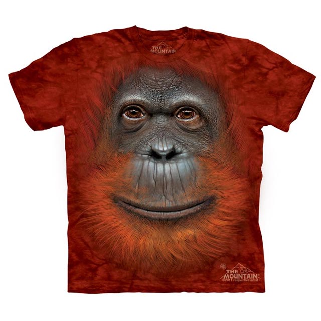 The Mountain - Orangutan Face - Youth