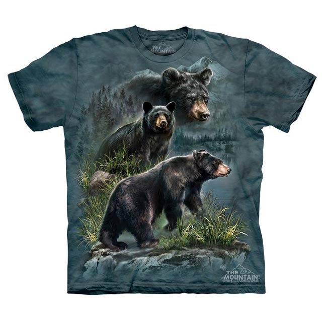 The Mountain - Three Black Bears - Youth