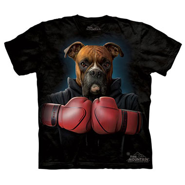 The Mountain - Boxer Rocky