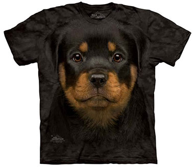 The Mountain - Rottweiler Puppy