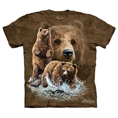 The Mountain - Find 10 Brown Bears - Youth