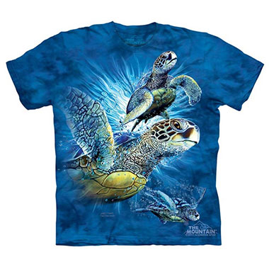 The Mountain - Find 9 Sea Turtles - Youth