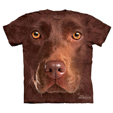 The Mountain - Chocolate Lab Face - Youth