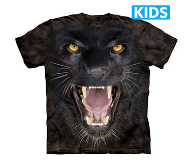 The Mountain - Aggressive Panther Kids