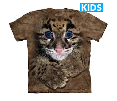 The Mountain - Clouded Leopard Cub Kids