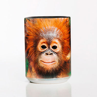 The Mountain - Orangutan Hang Ceramic Mug